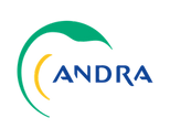 andra logo.png