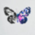 SammyJAlbum_04_Textless.jpg