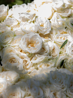 Kirjoitusharjoitus: Kädet <3