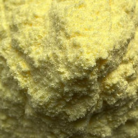 Alpha-Lipoic-Acid-powder_edited.jpg