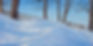 The Snow wave.jpg