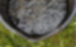 Screen Shot 2025-01-15 at 1.15.36 PM.jpg