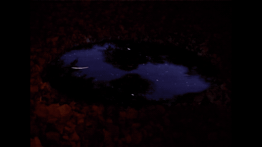 ThePoolGIF534X300.gif