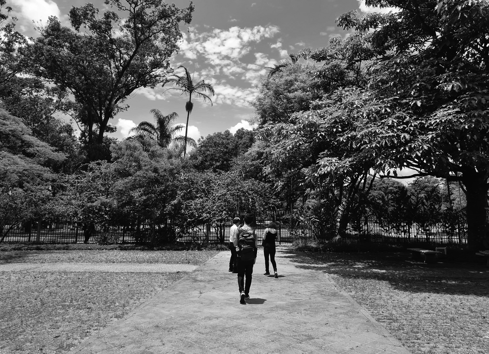 pessoas-catavento-2-pb-nn