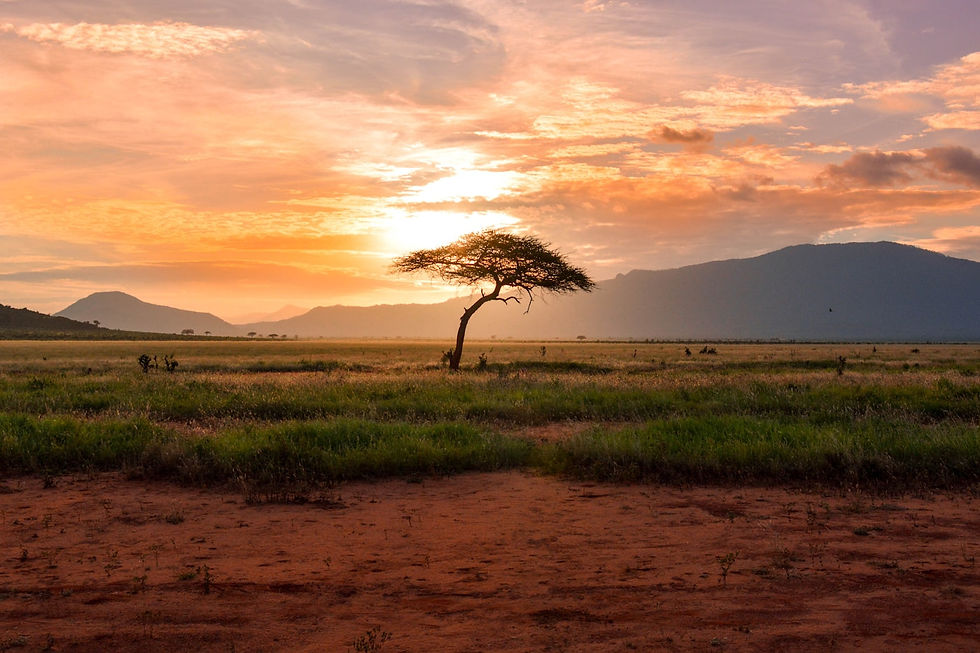 African landscape at golden hour with dramatic skies