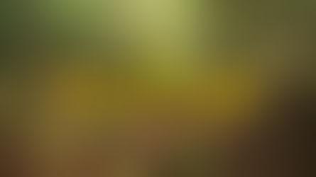 Practicing the Practice of Landscape Photography