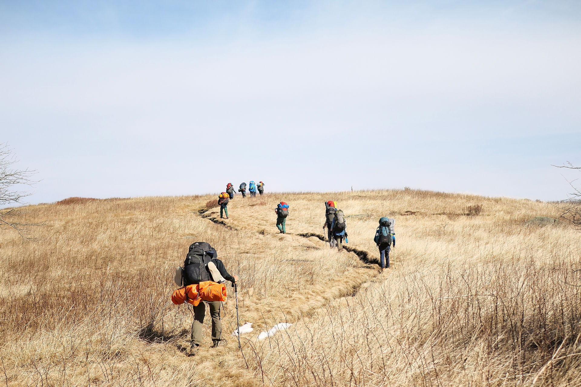 A group of ten hikers in a row walking a winding mountain trail