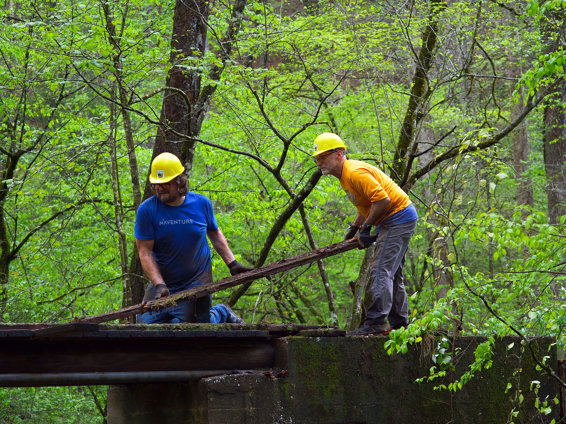 Two workers removing a plank of wood from a bridge in Pisgah National Forest.