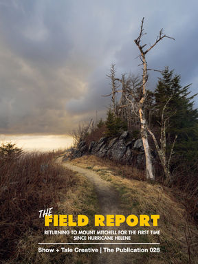 A sunset photo with a sweeping trail making an S curve and storm clouds with epic golden light on top of Mount Craig at Mount Mitchell State Park.