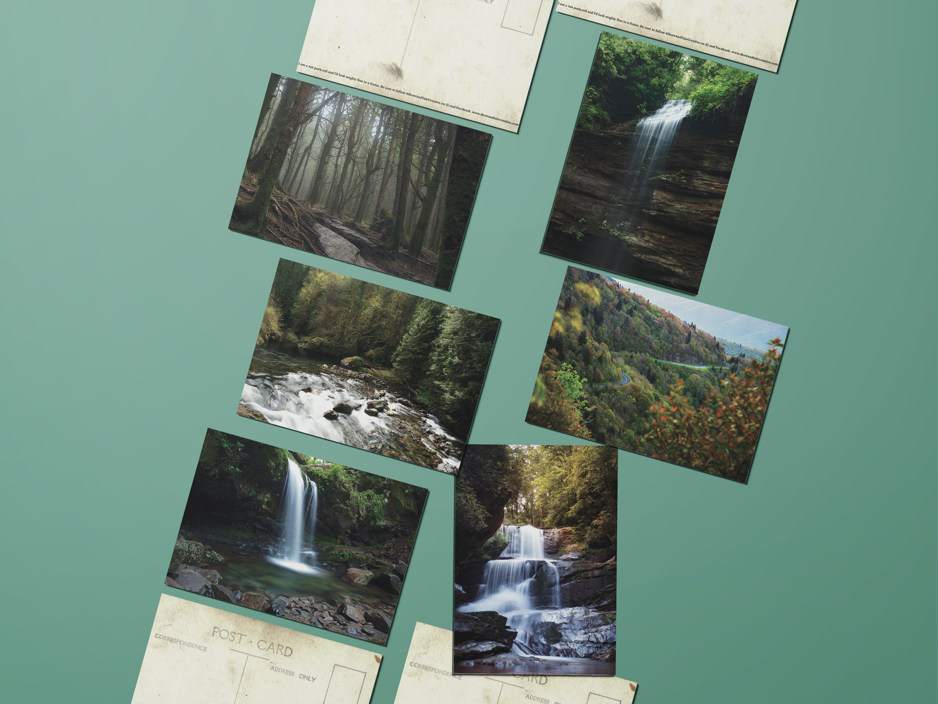 Found In Nature Postcard Set