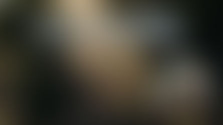 A close up, high contrast landscape photo of a dormant tree atop a mountain with light shining down on it at an angle from the top left with everything else surrounding it in shadow