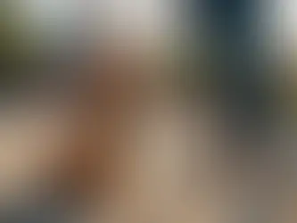 Unlocking the Secrets to Simple and Effective Dog Potty Training