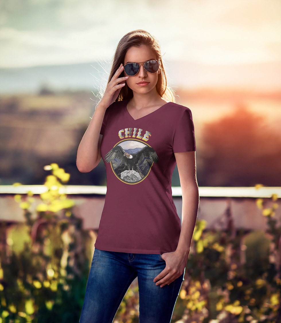Thumbnail: Condor Chile V Neck T-Shirt