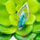 Thumbnail: Tibetan Turquoise