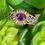Thumbnail: Amethyst Goddess Bracelet