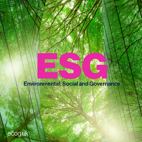 Understanding ESG: A Guide for Small Businesses in the UK and EU
