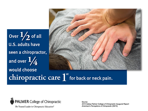 Chiropractor Daytona Beach