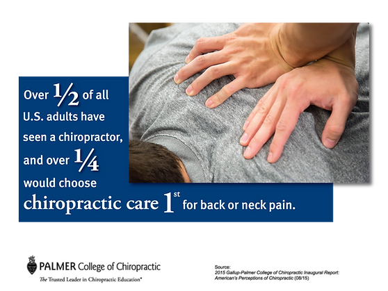 Chiropractor Daytona Beach