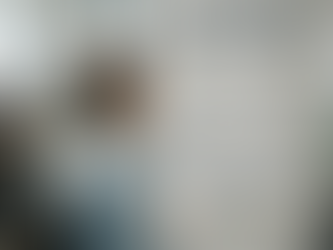 Zatrudnialność (ang. employability)