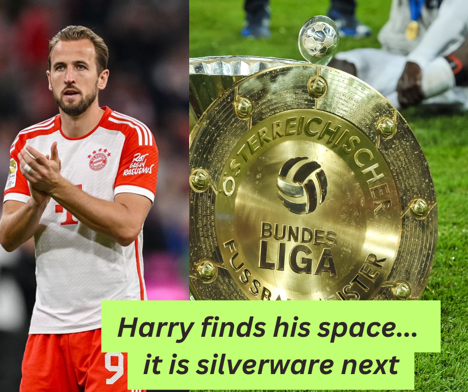 Harry Kane finds his playground