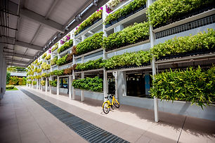 AdobeStock_245960279.jpeg