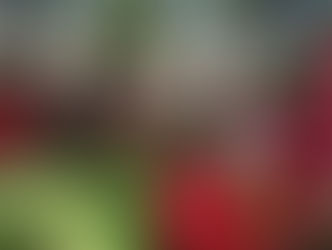 Kan Lekòl 2022, "Jwe Pou Lavi"