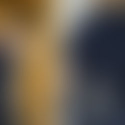 Breaking & Entering/Burglary