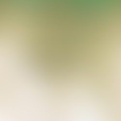 ENOCH 觸動心弦 每週精選 VOL.31(聖誕版👼🏻)