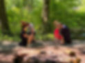 48254A56-557D-47E7-A30D-ED0B9B524D5C_1_105_c.jpeg