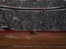 Diputados de la Ciudad de México buscan prohibir las corridas en el Distrito Federal y exaltan el prohibicionismo colombiano