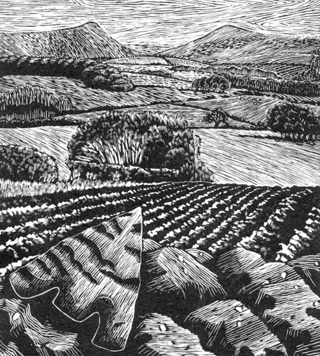 Of Shepherds and Flintmen