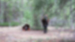 DSCN0862.JPG