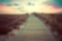 bridge_edited.jpg