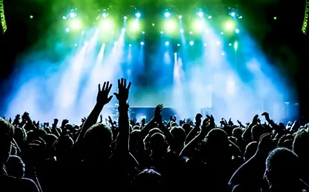 Concert-Crowd.webp