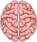 8547006-humano-cerebro-isolado-em-fundo-branco-vetor_edited.png