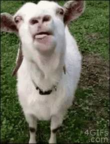 image000000.gif