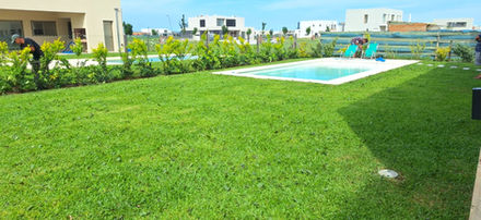  limpieza-de-piletas -Mantenimiento- Piletero- Piletas-De-Cemento escobar-loma-verde-el-cazador-parquista-jardinero-riego-automatico-Corte-pasto-poda-arbustos-mantenimiento-jardines-escobar-loma-verde-el-cazador-parquista-jardinero-riego-automatico-Nivelacion-terreno-construccion-jardin-diseno-paisajismo-Corte-pasto-poda-arbustos-mantenimiento-jardin-