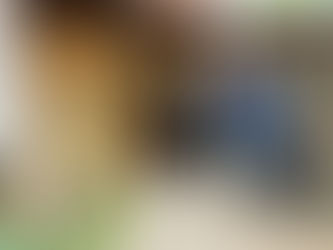 和僑プレミアグルメ倶楽部　第8弾