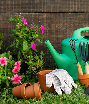 plants-pot-with-watering-can.jpg