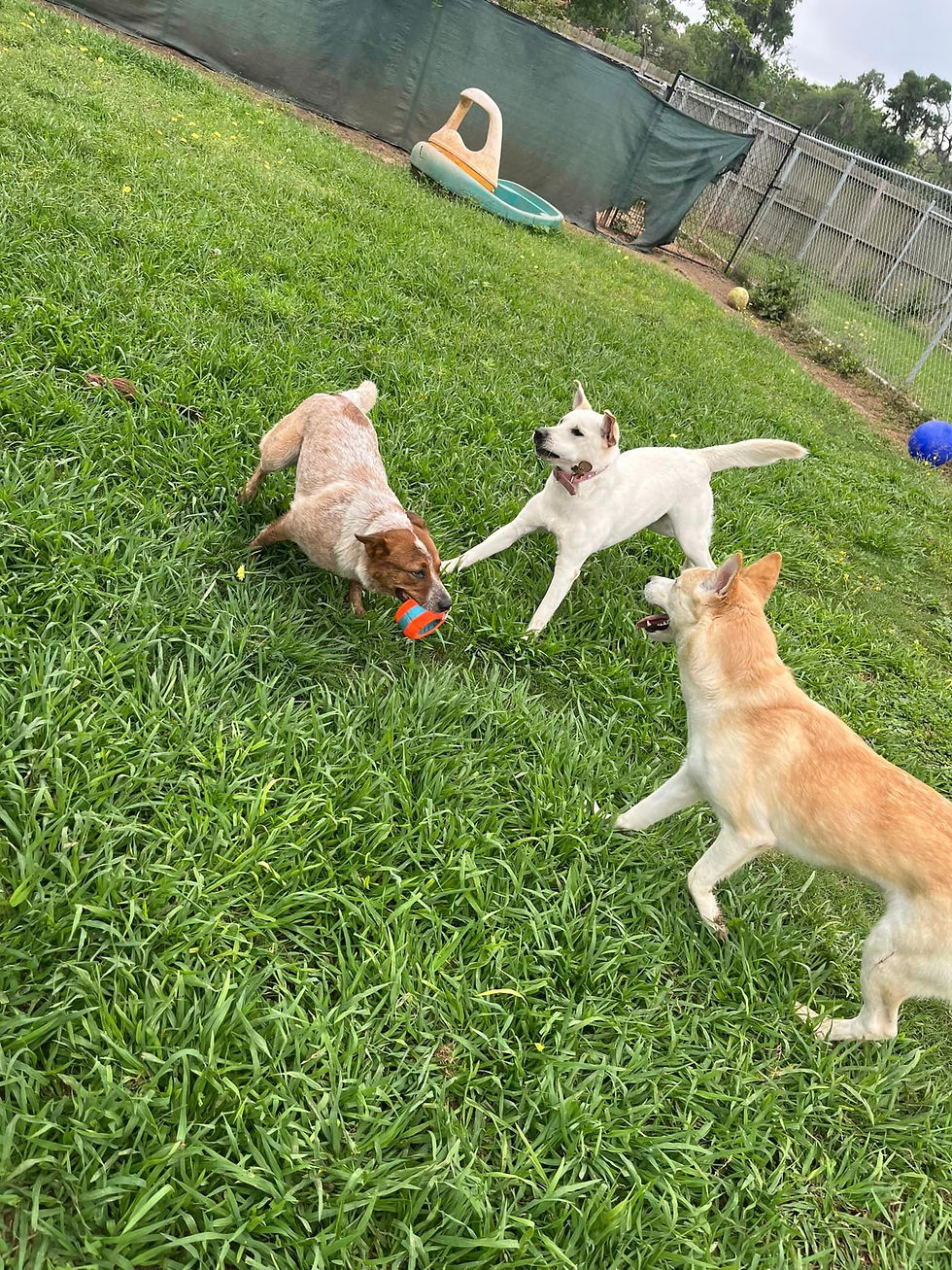 437544837_957239139740079_6166611063274078078_n