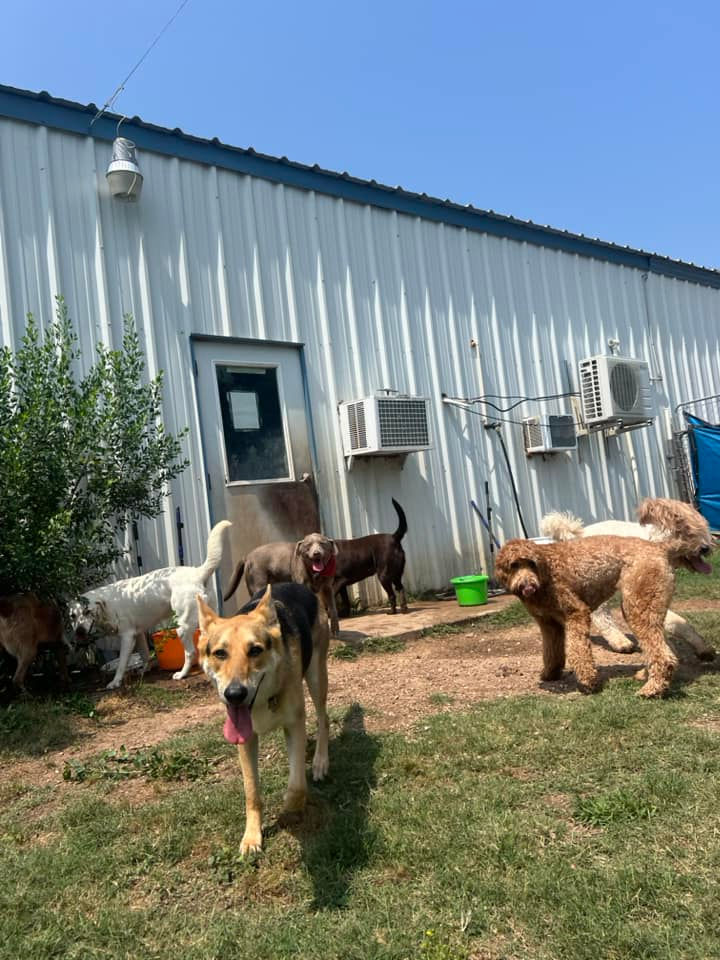 441219670_966757742121552_6744995154542084226_n