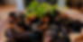 d93ec6e6-a4c9-4935-b8ba-dc75dfaf6e07.JPG