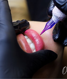 Untitled design (50).png