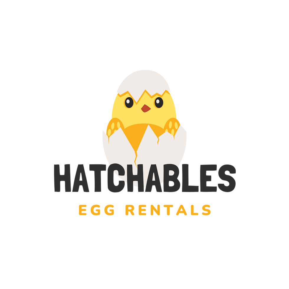 White And Yellow Cracked Egg Logo (4).png