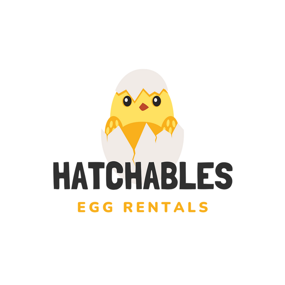 White And Yellow Cracked Egg Logo (4).png