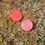 Thumbnail: Small Jar of Red 130 Eco HOUSE POINT Embossed Tokens 35mm