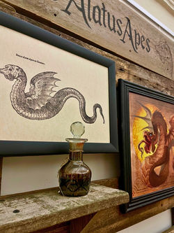 462281532_1081053247356603_2908846863382788868_n