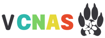 Proposta IIICNAS.png