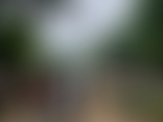 Belgian National Day