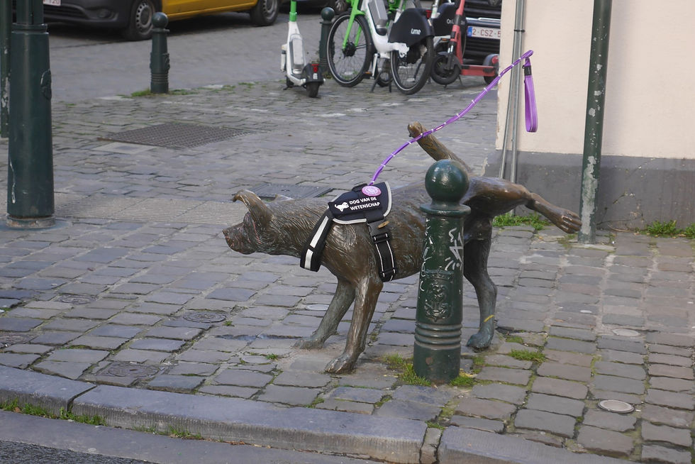 Zinneke Pis